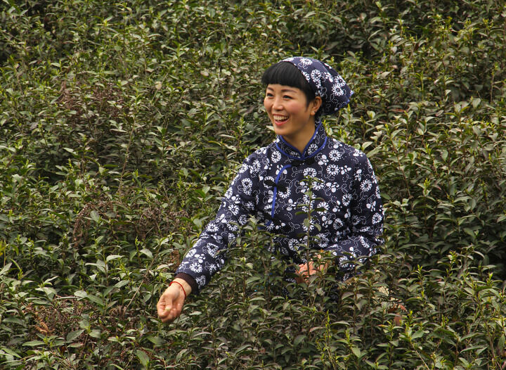 酒廊私语